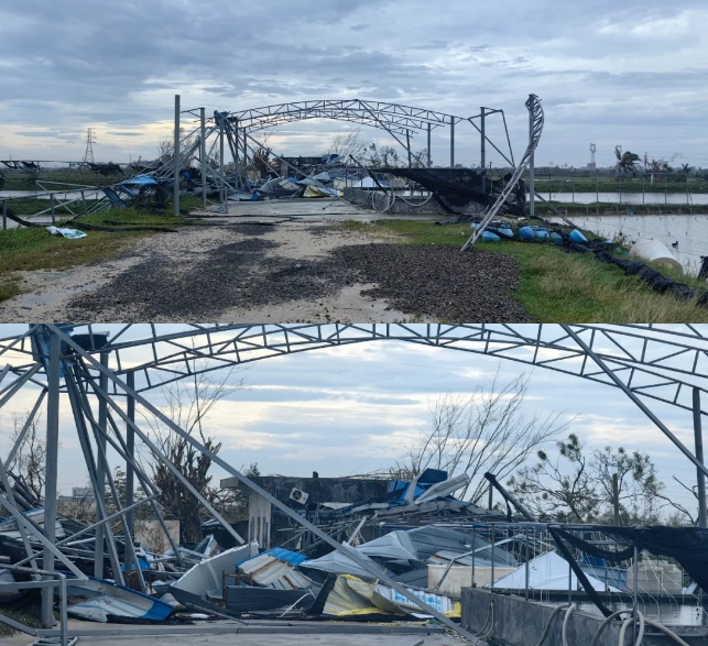 typhoon2.jpg