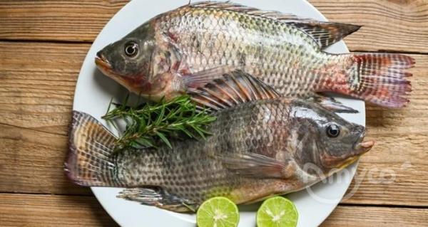 U.S. tilapia and basa prices continue to firm, inventories are low, and demand is stable and strong